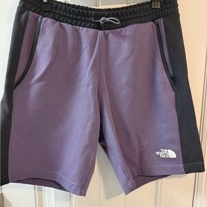 The North Face Shorts Men’s Medium Tech Training Active Purple Shorts